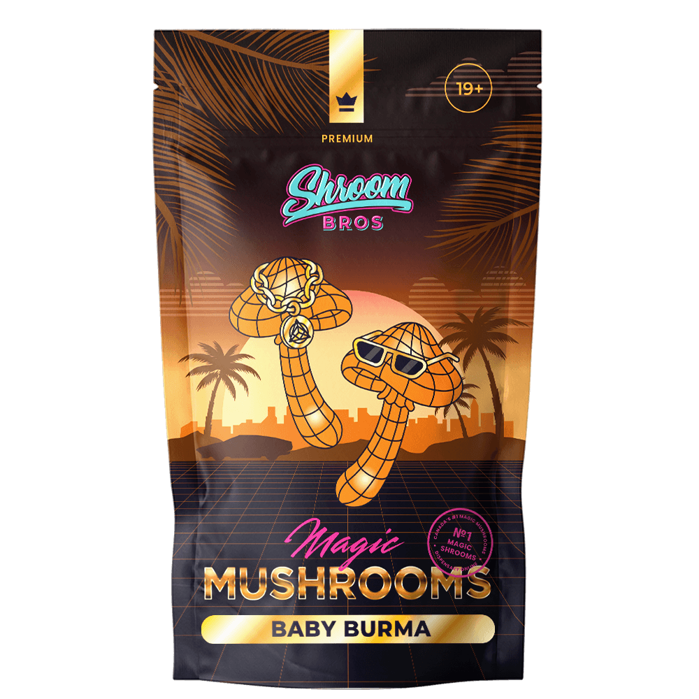 Baby Burma magic mushrooms