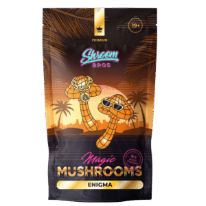 Enigma Magic Mushrooms