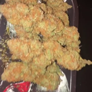 Buy Weed Online – Fire OG Cannabis Strain 20%-25%THC
