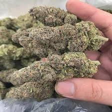 Buy Weed Online – Blue Dream Kush 18% THC