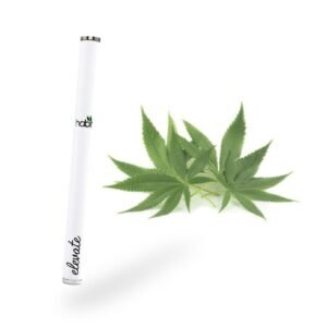 CBD Vape Pen​ – Elevate 500mg CBD Vape Pen