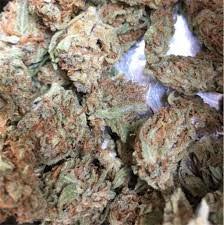 Girl Scout Cookies Cannabis Strain 28% THC