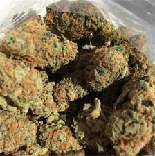 Buy Weed Online – Panama Red Cannabis Strain 16%-22%THC