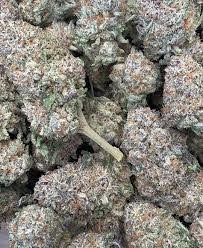 Buy Weed Online – Pineapple Express Cannabis Strain 25%THC